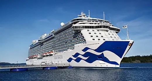 Cruise Image