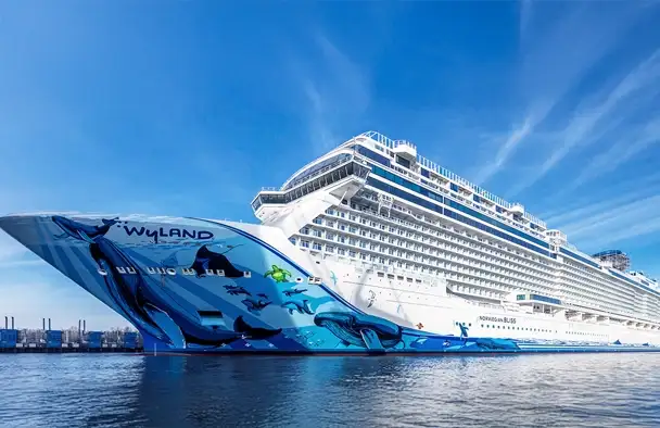 Cruise Image