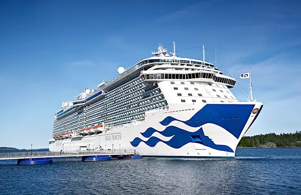 Cruise Image